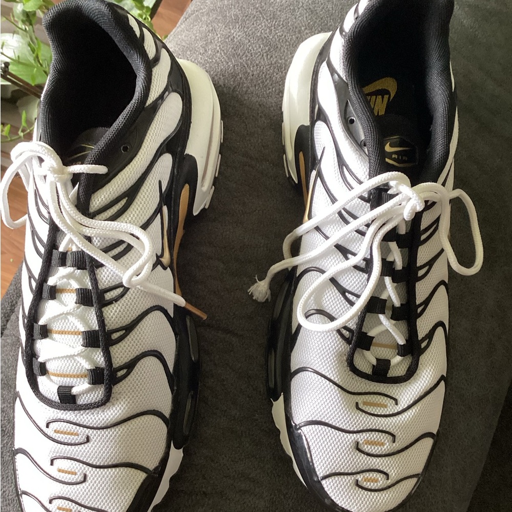Men’s Nike Air Max Plus Tn Black Metallic shoe